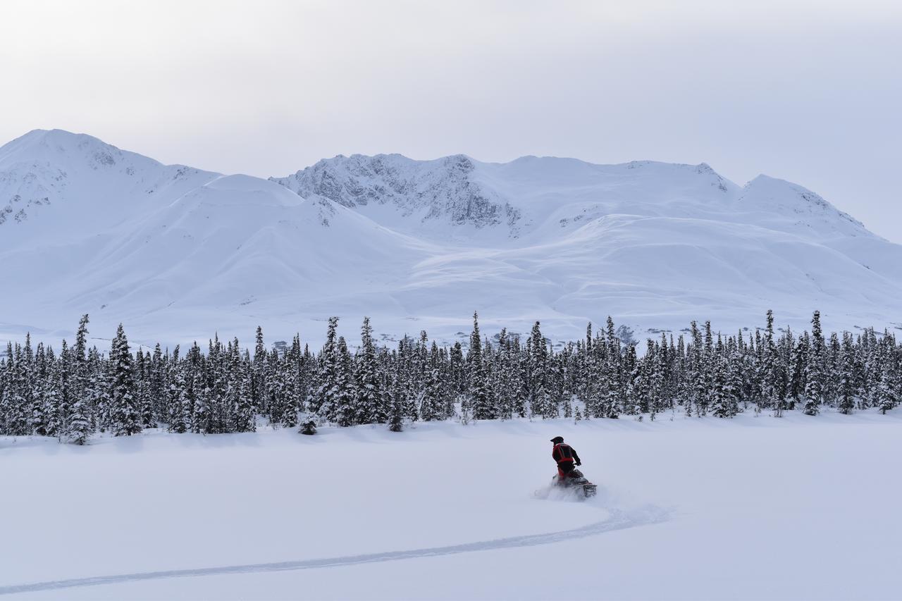 Backwoods Lodge Cantwell Esterno foto